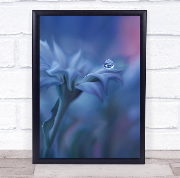 Bulgaria Pearl Drop Droplet Water Flower Pastel Colours Garden Wall Art Print