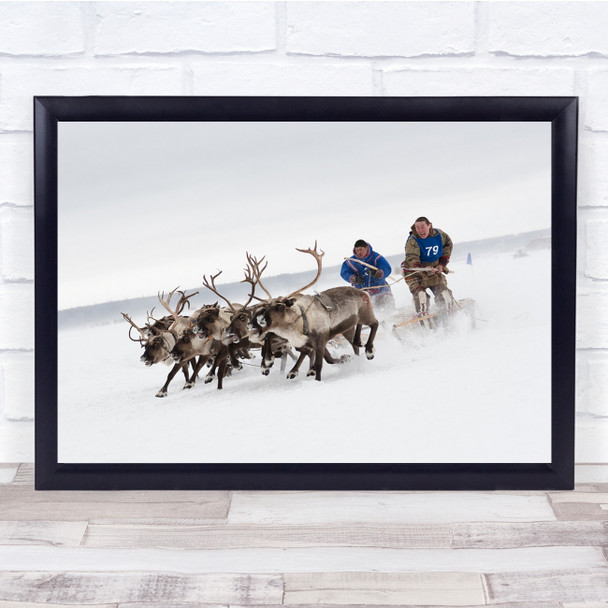 Reindeer Race Competition Russia Siberia Nenets Nadym Races On Wall Art Print