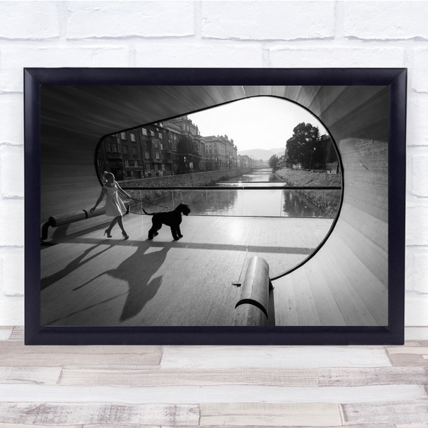 Dog Schnauzer Bridge Pet Walk Walking Street Black & White Window View Print