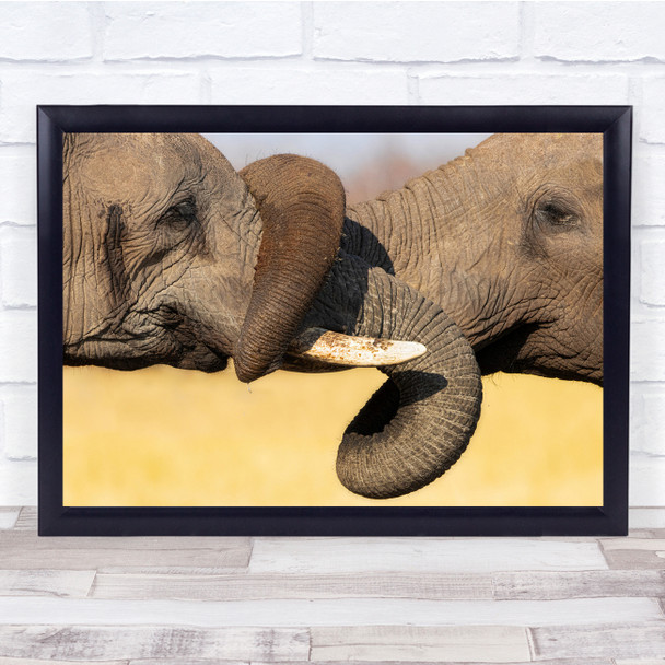 Elephant Africa Safari Botswana Chobe Savuti Wildlife Wrestle Wall Art Print