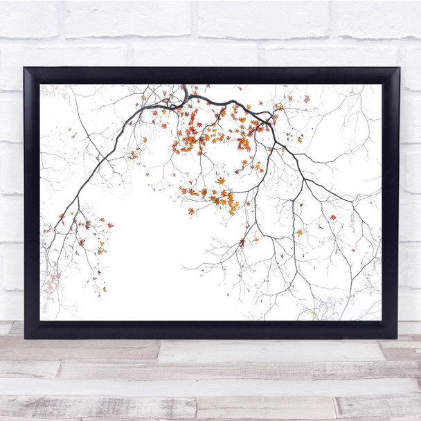 High Key High-Key Branch Branches Twig Twigs Leaves Leaf Fall Wall Art Print