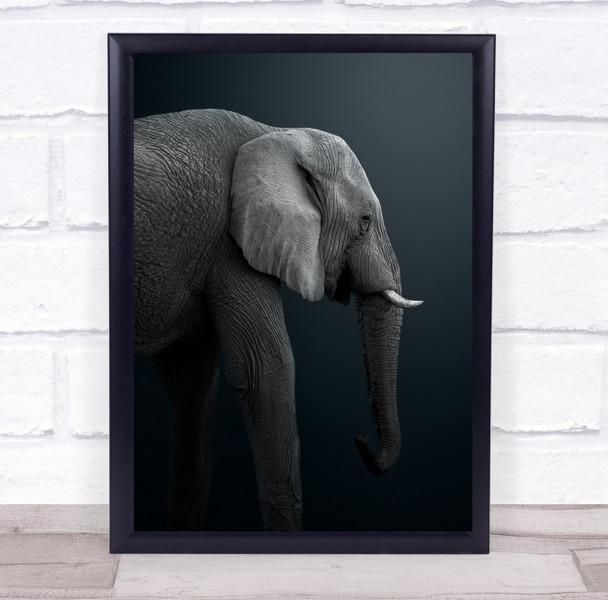 Elephants Animals Namibia Safari Elephant No Background Grey Wall Art Print