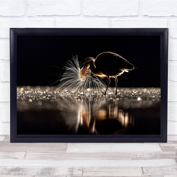 Landscape Bird Silhouette Splashing In Water Dark Reflection Wall Art Print