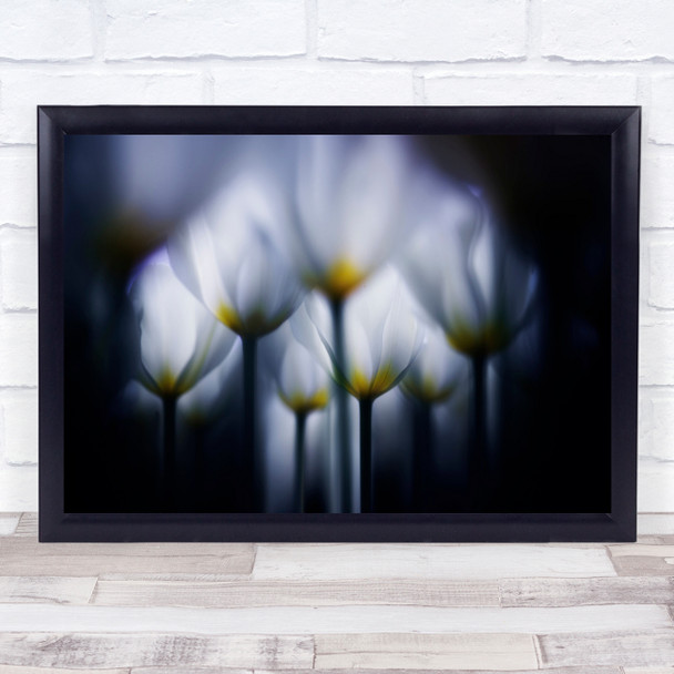 Flower Flowers Macro Vignette Backlight Backlighting Garden Wall Art Print