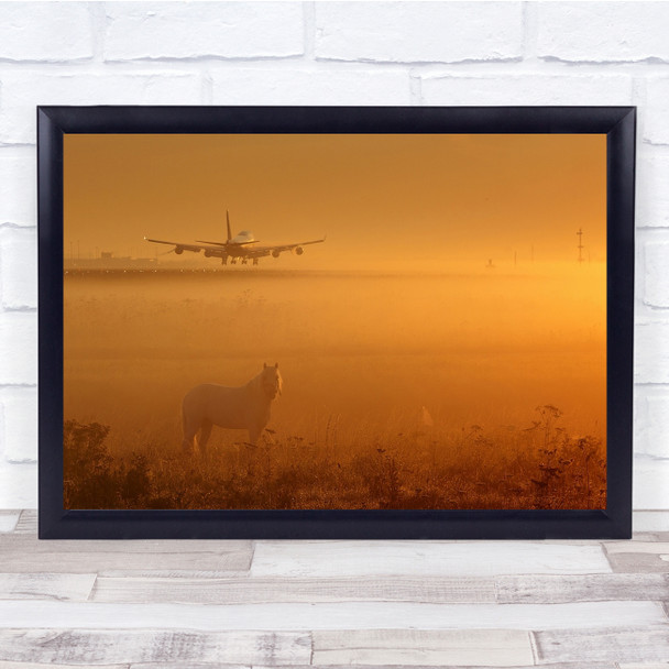 Horse Airplane Airliner Landing Land Aviation Sunset Field Wall Art Print