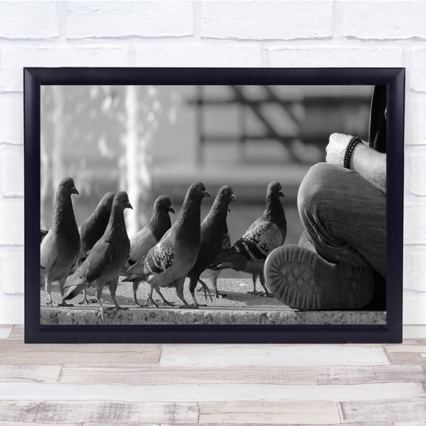 Pigeons Birds Street Person Sitting Queue Line Food Hungry Wall Art Print