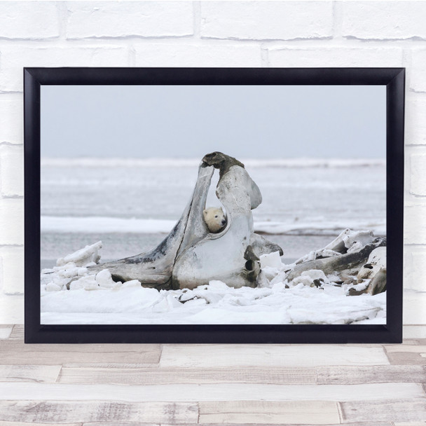 Polar Bear Arctic Alaska Wildlife Animal Cub My Jungle Gym Wall Art Print