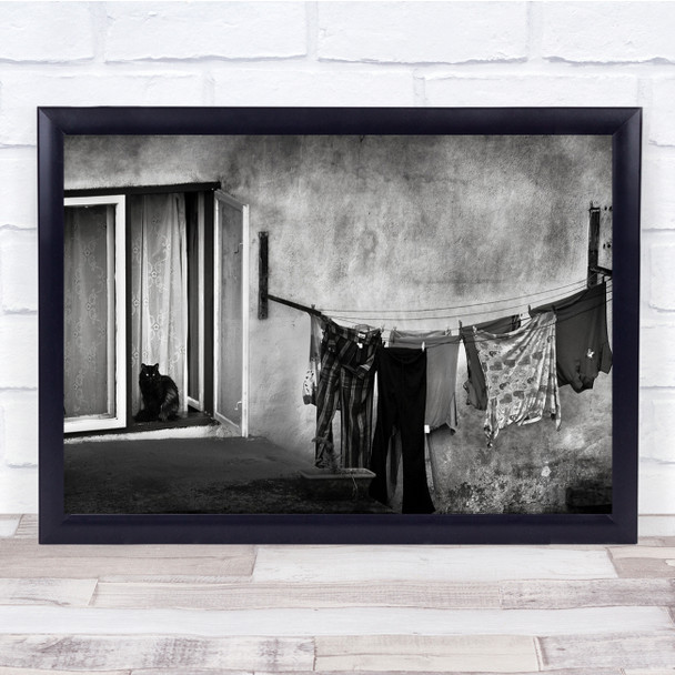 Cat Black & White Window Street Animal Animals Laundry Facade Wall Print