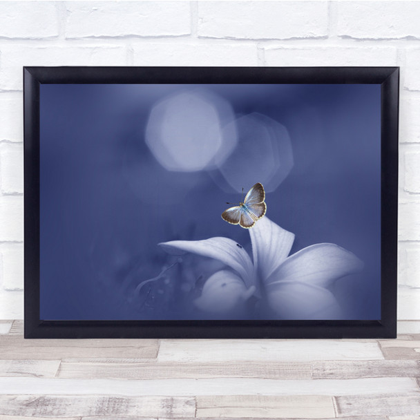 Butterfly Flowers Macro Purple The Longs For Moon Flowers Wall Art Print