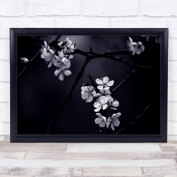 Flower Macro Toned Monocolour Blossom Cherry Flowers Dark Wall Art Print