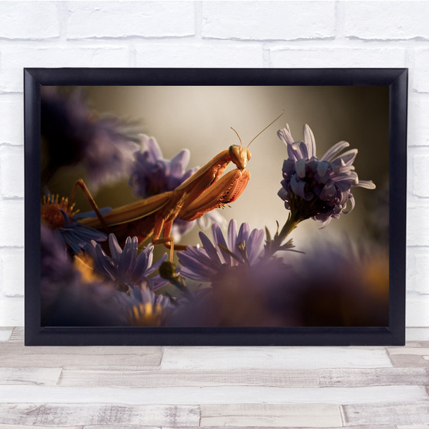 Mealtime Blessings And Graces flower and praying mantis Wall Art Print
