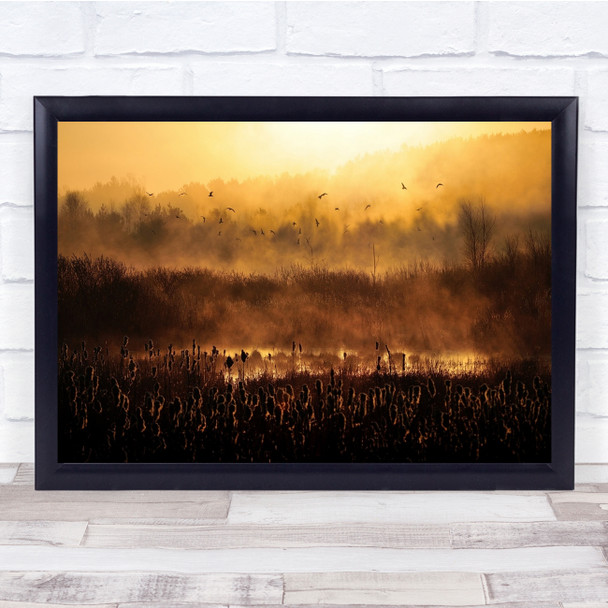 Sunrise Birds Swamp Landscape Poland Morning Impression Wall Art Print