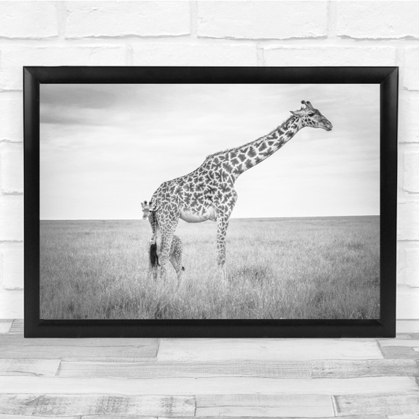 Giraffe with baby Black & White Wildlife Nature Africa Wall Art Print