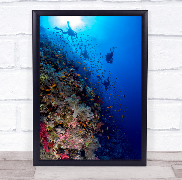 Back From The Diver Underwater Sealife School of fish Wall Art Print