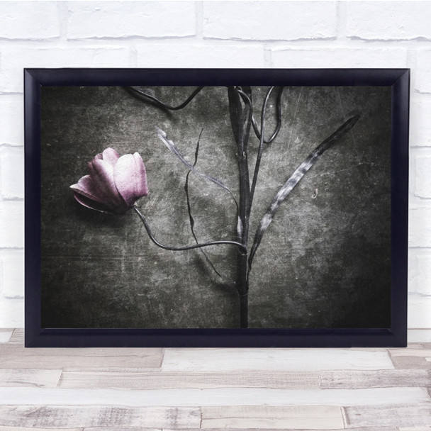 Flowers Still Life Botanical Rose Texture Monochrome Wall Art Print Flowers Still Life Botanical Rose Texture Monochrome Wall Art Print