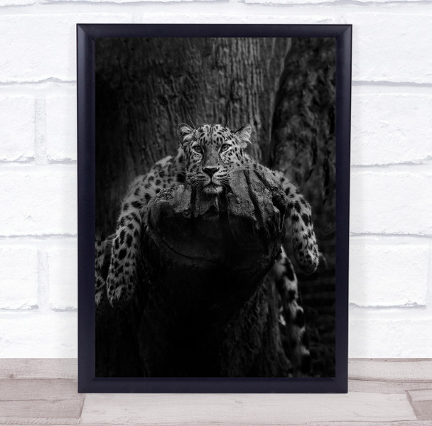 Nature Beauty Freedom Openness Leopard Hope Animals Wall Art Print Nature Beauty Freedom Openness Leopard Hope Animals Wall Art Print