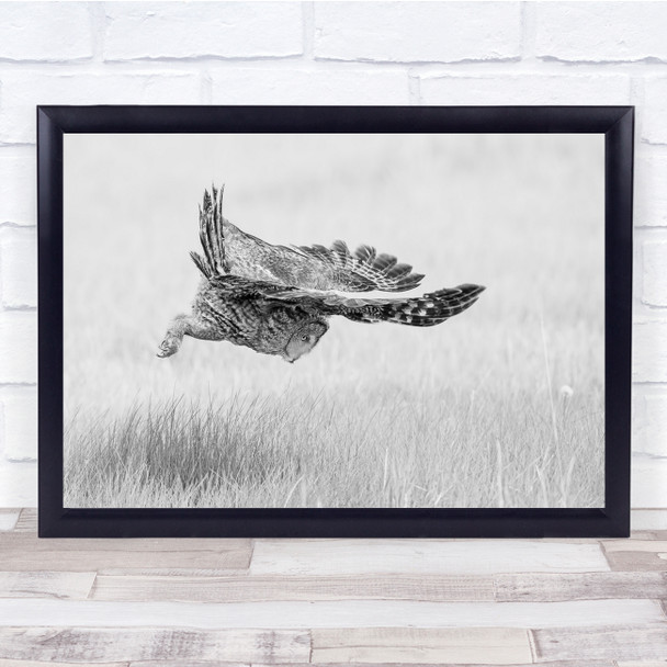 Black & White Bird Of Prey Owl Flying Grass Field Wall Art Print Black & White Bird Of Prey Owl Flying Grass Field Wall Art Print