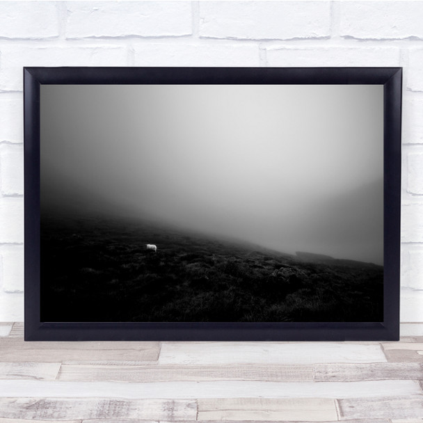Fog Sheep Alone Light Darkness Black & White Mood Wall Art Print