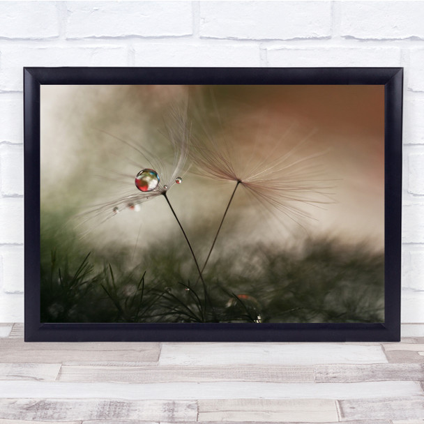 Macro Seed Feather Downy Tuft Feathers Pearl Drop Wall Art Print