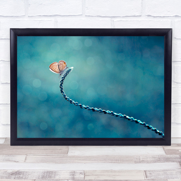 Macro Teal Butterfly Bokeh Turquoise Sendiri Lagi Wall Art Print