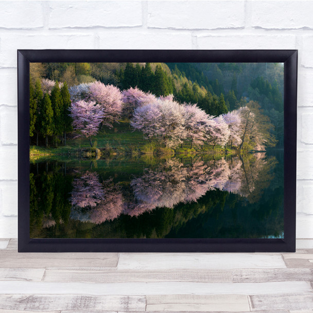 nature Reflection Cherry Blossom Trees Water Asia Wall Art Print