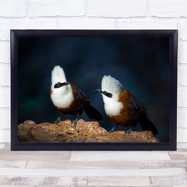 Wildlife Nature Animal Animals Birds Bokeh Couple Wall Art Print