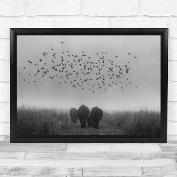 Elephants Birds Fog Grass Black & White Depart Wall Art Print
