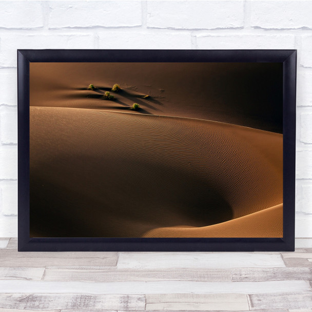 Landscape Abstract Iran Desert Sand Dune Shrub Wall Art Print