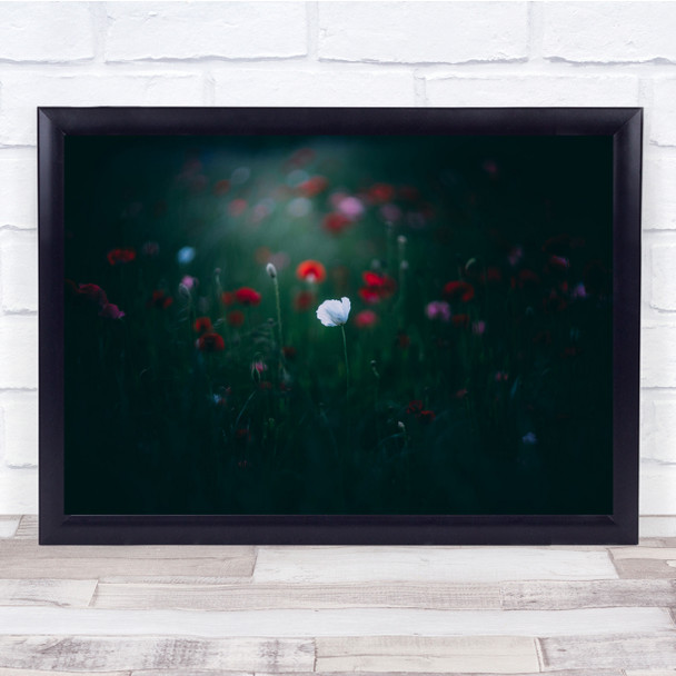 Poppies White and Red Green Meadow Bokeh Focus Wall Art Print