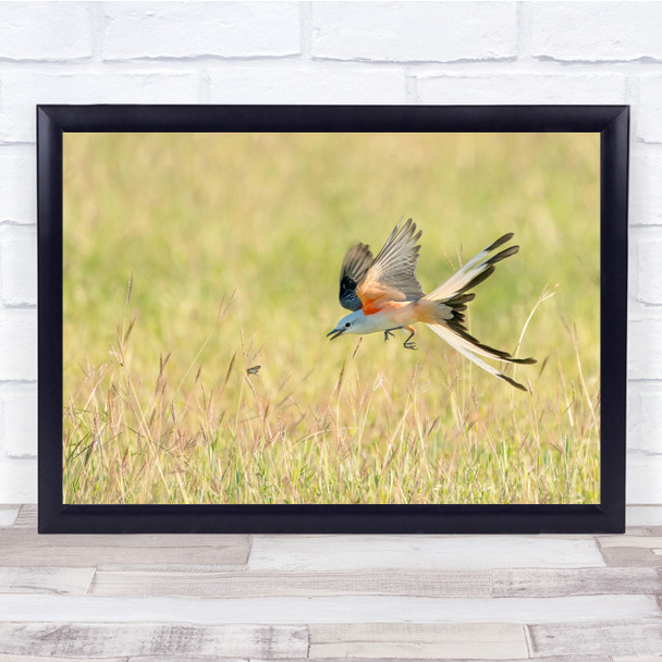 Bird Wildlife Nature Animal Grass Bokeh Catch Wall Art Print