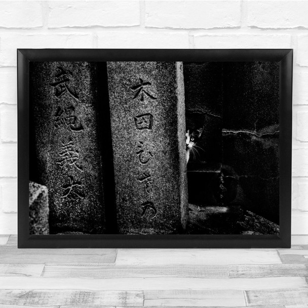 Cat Monochrome Shrine Pets Animals Asia Signs Wall Art Print