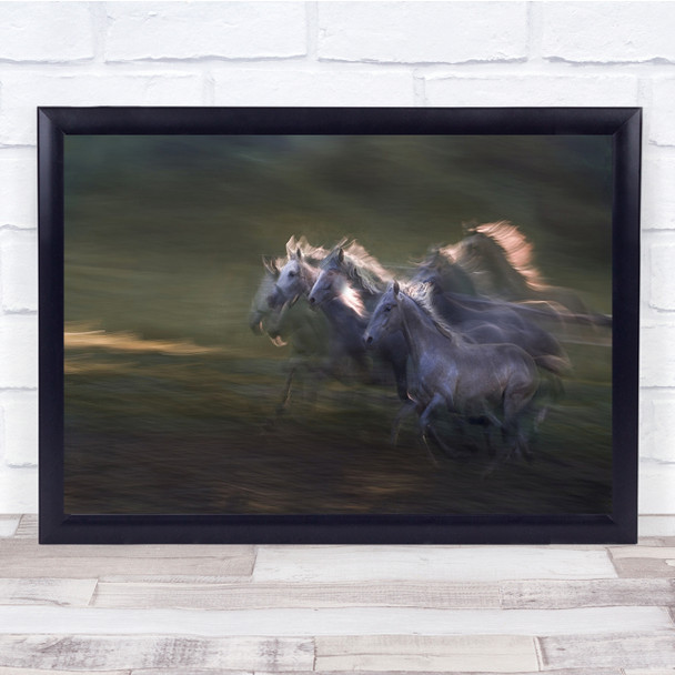 Horses Gallop Through Field Green White Horse Wall Art Print