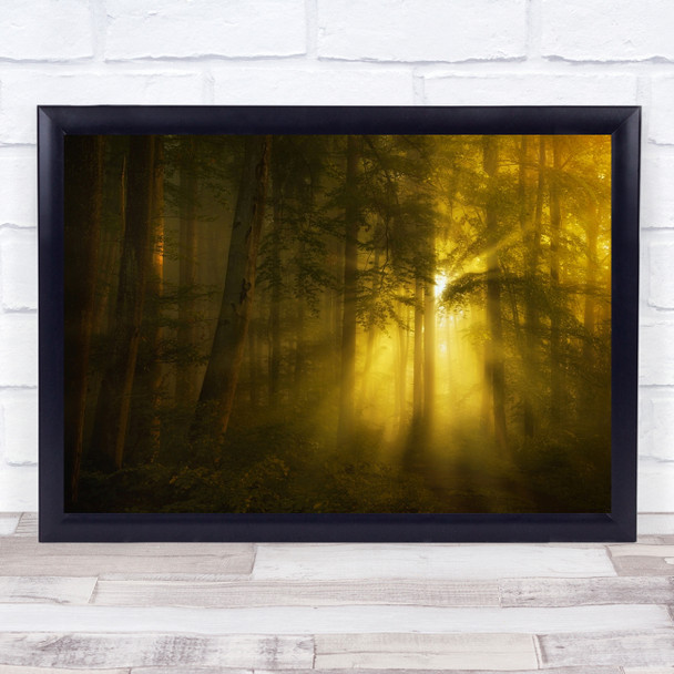 Sun Morning Yellow Rays Beam Forest Tree Mist Wall Art Print