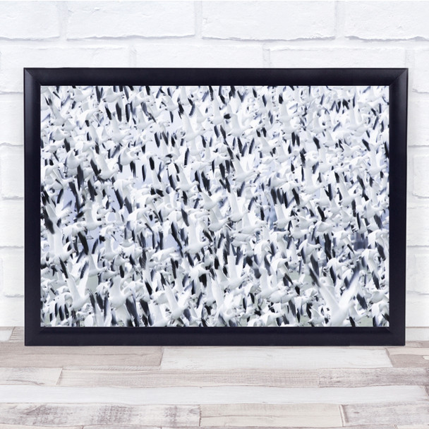 Bird Geese White Pattern USA Panorama Chaos Wall Art Print