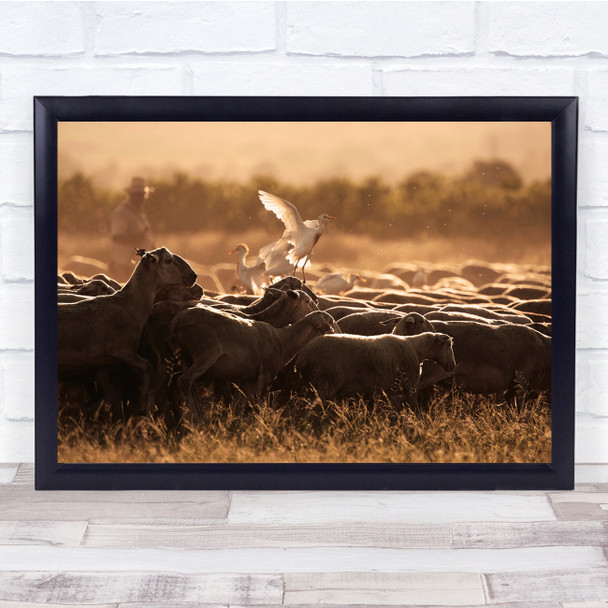 Sunset Sheep Herd Birds Stork Flying Field Wall Art Print