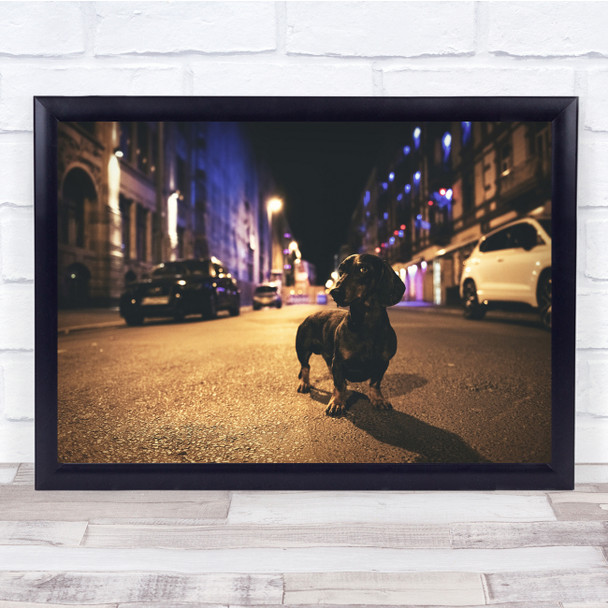 Dachshund dog night life landscape street Wall Art Print