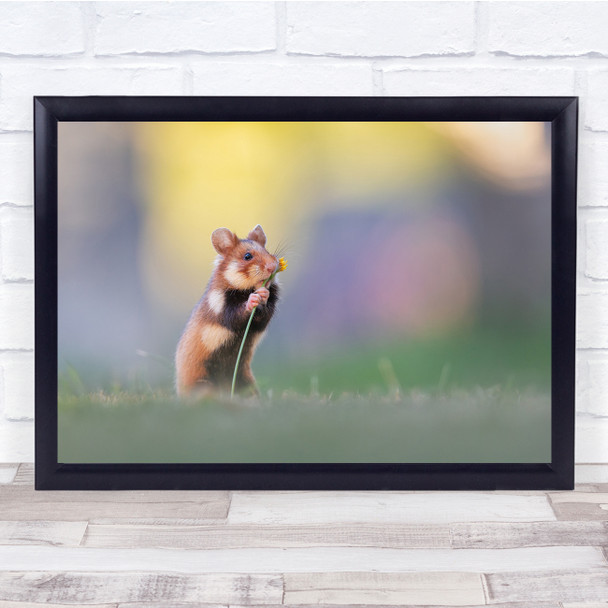 Hamster Flower Cute Bokeh Animals Flowers Wall Art Print