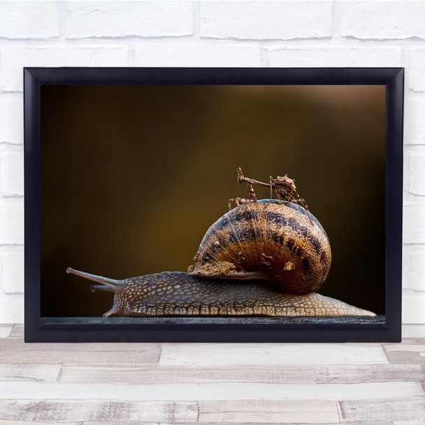 Humour Snail Mantis Slime Wildlife Animal Wall Art Print