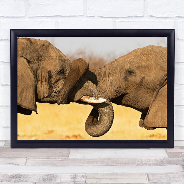 Elephants Animals Wildlife Nature Trunks Wall Art Print