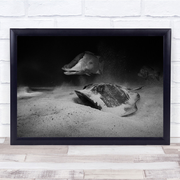 Ocean Hunters Sea Floor Sand Black White Wall Art Print