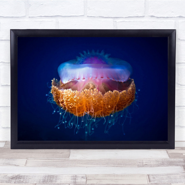 Jellyfish Underwater Blue Violet Yellow Wall Art Print