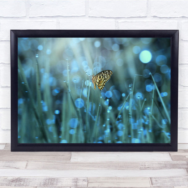 Butterfly animal droplets grass nature Wall Art Print