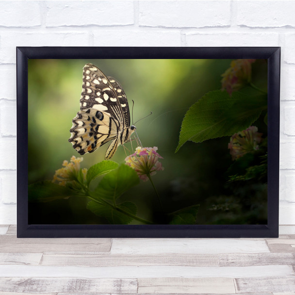 Macro Bugs Insects Butterfly Bokeh Bug Wall Art Print