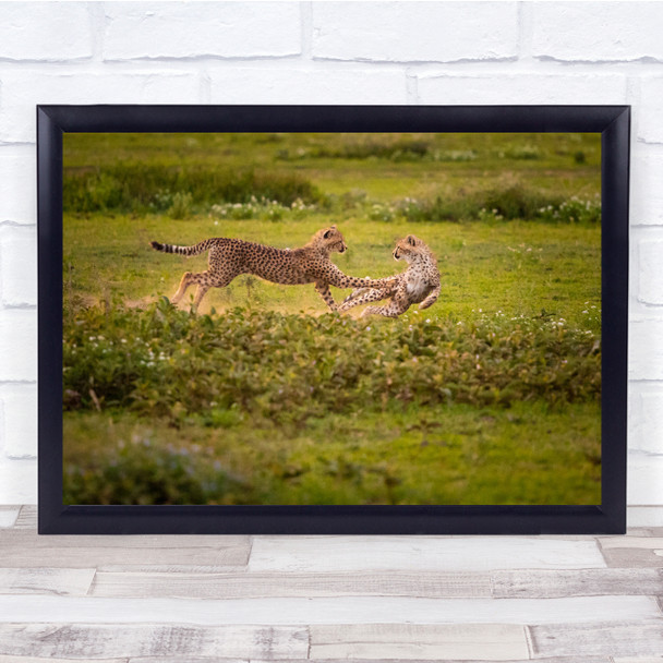 Play Time leopards wildlife wilderness Wall Art Print