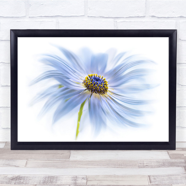 blue petals wispy Floral Flora Flower Wall Art Print