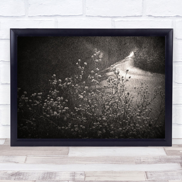 Flowers Road black and white close up Wall Art Print