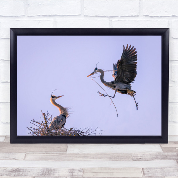 Heron Wildlife Bird Nest Twigs nature Wall Art Print