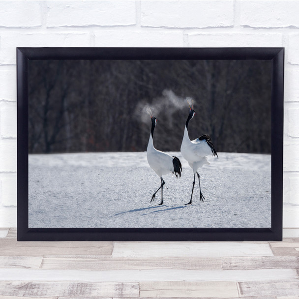 Landscape Black Birds Singing In Snow Wall Art Print