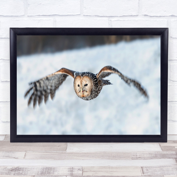 Owl flying snow wings action patterns Wall Art Print
