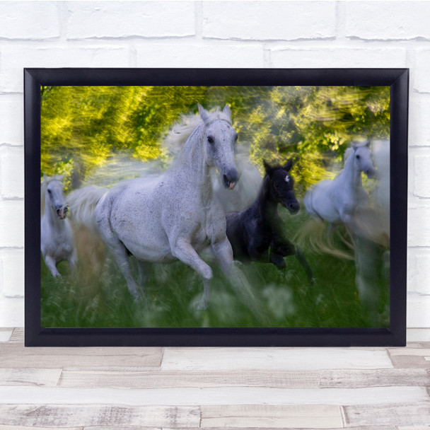 Animals Horses Blurry Running Gallop Wall Art Print